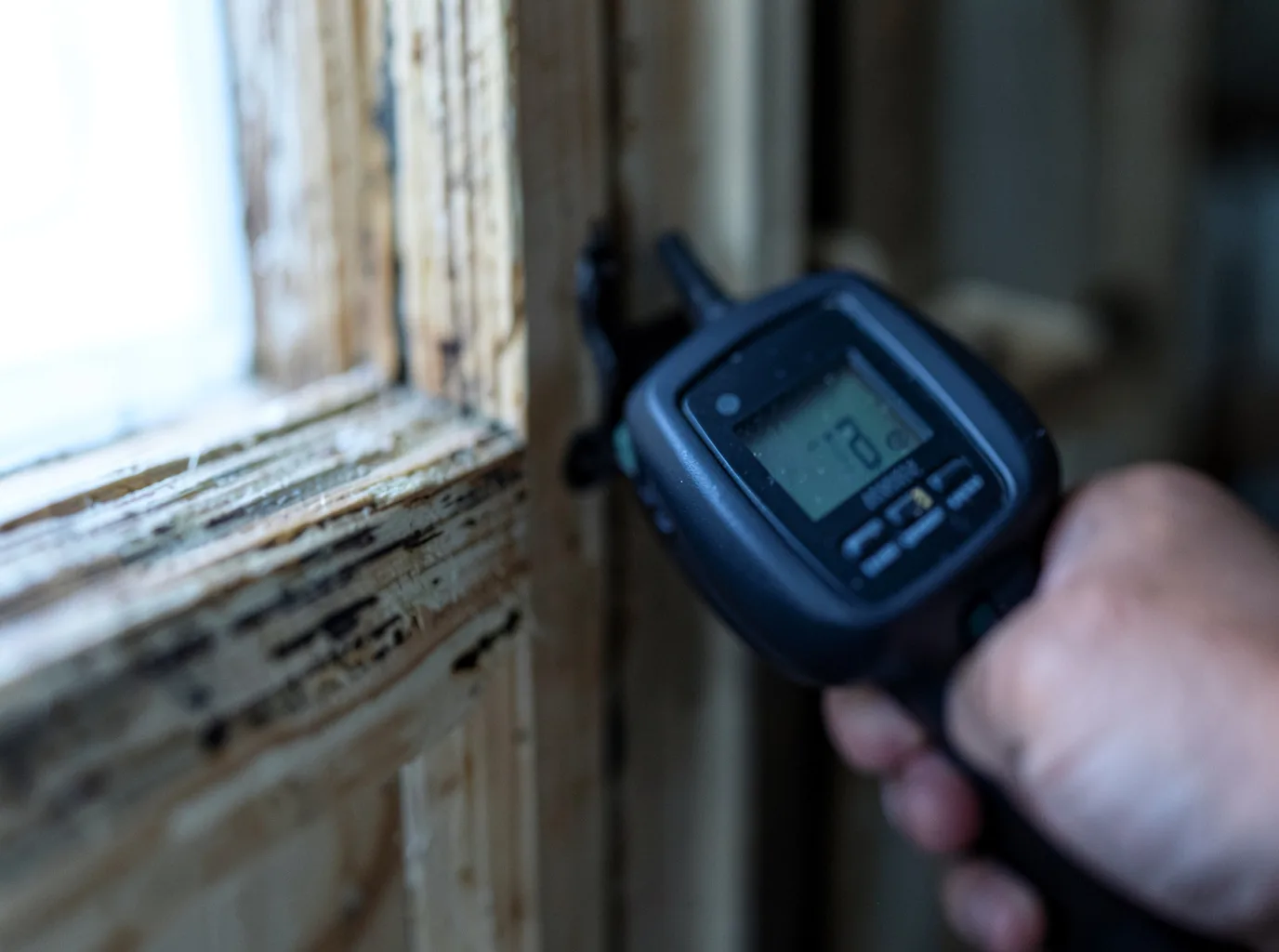 Commercial Water Damage Restoration in Kaumakani, HI